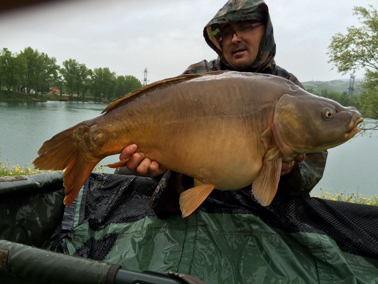 regiune Rhône-Alpes 1 mai 2015 - img-20150501-wa0032.jpg